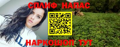 МДПВ Ногинск